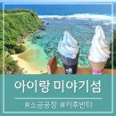 더카페미야기 | 오키나와 누치마스 소금공장 (카후반타) 아기랑 아이랑 미야기섬 주차, 가볼만한곳