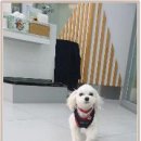 온빛동물병원 이미지