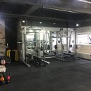 리바디짐 이미지