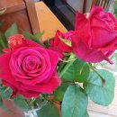 피아노숲 이미지