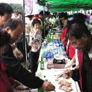 영동군_문화체육센터 이미지