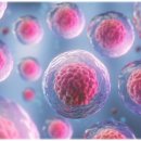 메디암요양병원 이미지