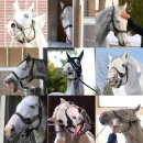 이글목장 이미지