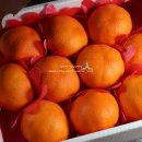 웅이네 농장 이미지