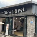 예당 앤 다울 이미지