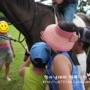 삼생정보화마을 이미지