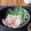 사시미썰어