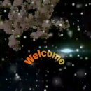 기쁨주는약국