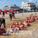 대한민국특수임무유공자회제주특별자치도지부 이미지