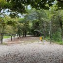 A&J오토캠핑장 이미지