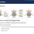 솔 동물의료센터 이미지