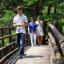 대자연횟집 이미지