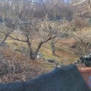 이상농장 이미지