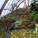 유원농장 이미지