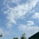 [공지] 이마트 트레이더스 홀세일클럽 양산점: 6월 첫째주 신상품 할인상품 추천상품 푸드코너 쇼핑 후기