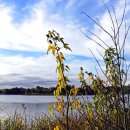 호수가에풍경가든 이미지