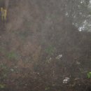 능성목장 이미지