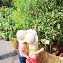 서재원 농장 이미지