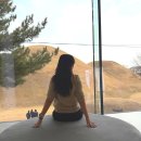 스마트조명지킴이 | 경주 오아르미술관 카페 추천 주차장비 폭탄 피하는 법(입장료할인,전시후기,근처맛집추천)