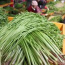 청정미나리영농조합 이미지