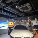 화이트브라운