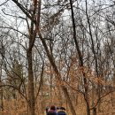 대구중앙고등학교 이미지