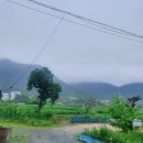 강미진공인중개사사무소 이미지