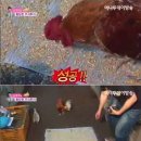(주)진영에너지 이미지