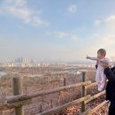 알로이시오기지 작은도서관 | 상암 아이코스 야외 나들이 BEST 3｜하늘공원 vs 난지비치 vs 문화비축기지 유아숲체험원 방문 후기