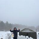 울릉도 나리분지 비박 1 이미지