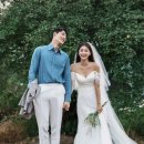 비비스튜디오 이미지