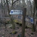 탐라스테이 제주 이미지