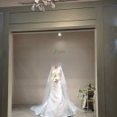 [웨딩 드레스] 비즈 맛집 청담 '제이스포사' 드레스 투어 후기! 👰