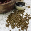 이지스한의원 이미지