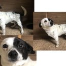 연제종합동물병원 이미지