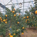 준이농장2 이미지