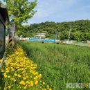 수석7리 이미지