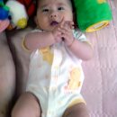 이리오시요 이미지