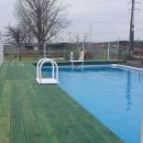 마한애견 이미지