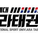 한국체대 건강한태권도 이미지