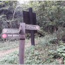 자은임도 이미지