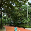 신트리공원 이미지