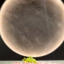 상남동275 이미지