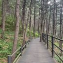 능안정 전망대 화장실 | 서울 트레킹 코스, 여름에도 시원한 안산자락길 코스 산책! + 독립문역, 영천시장