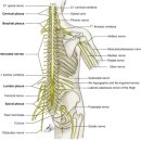 안아픈세상의원 이미지