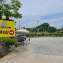 세종낙지 초담골(낙지요리전문점) | 세종 조치원 맛집 원기회복에 좋은 낙지요리 전문점 초담골 낙지보쌈
