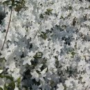 화원동산 동물원 이미지