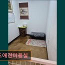 월드애견미용실 이미지