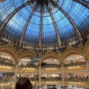 27200-마-26 | 🇫🇷 파리 유학생이 말아주는 파리 일주일 여행 코스 (에펠탑 사진 꿀팁ㅣ지베르니 총정리ㅣ지인 만족도...