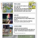 이더펠리체 이미지